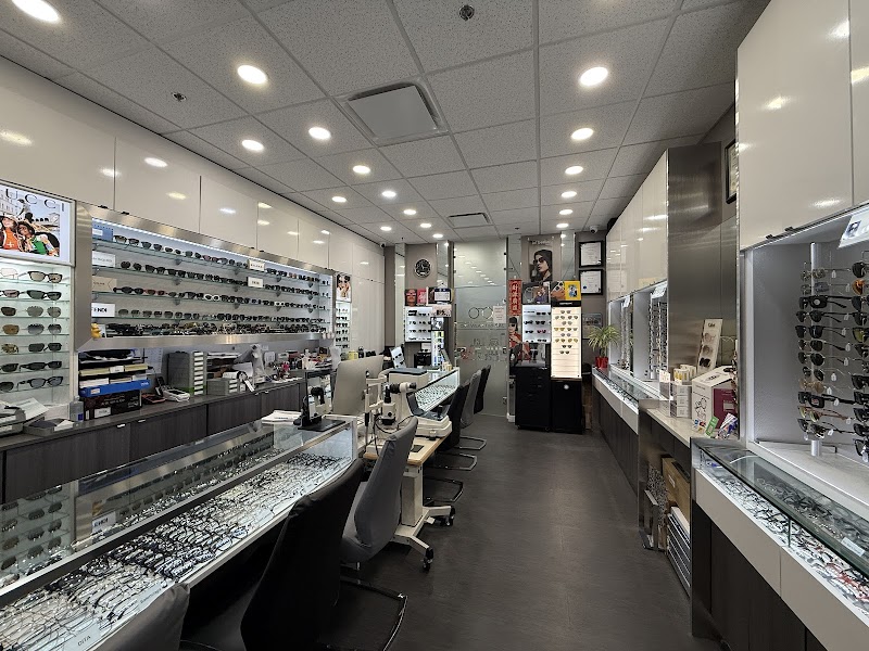City Wear Optical Co. Ltd.